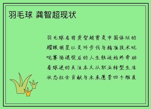 羽毛球 龚智超现状
